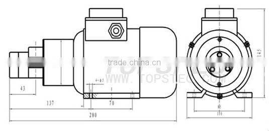 Magnetic Drive Micro Gear Mini AC Motor Pump ( AC motor, 220VAC / 380VAC)