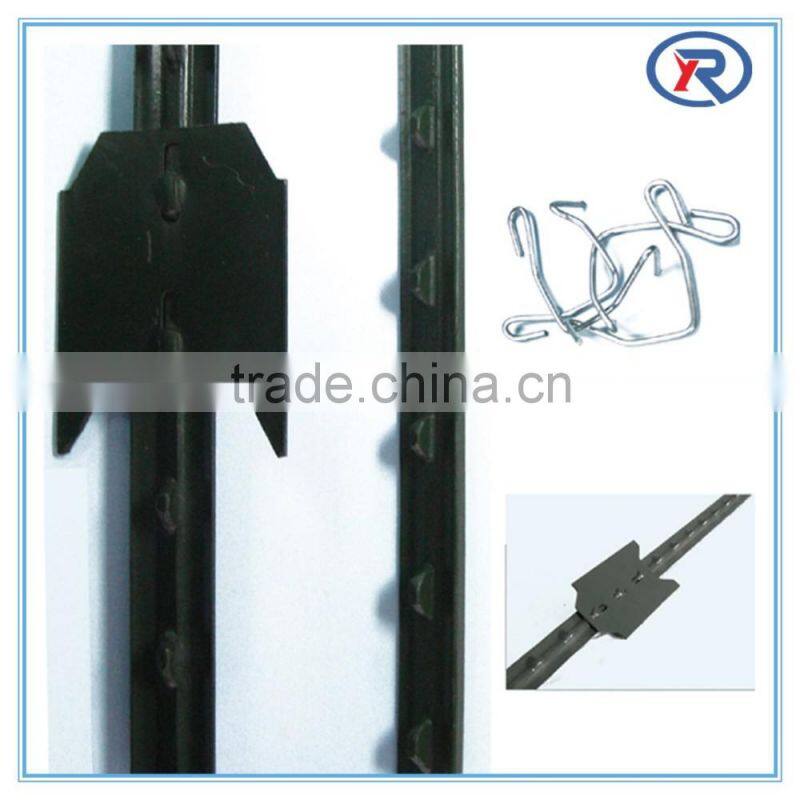 China high quality Green and red painted studded steel T post