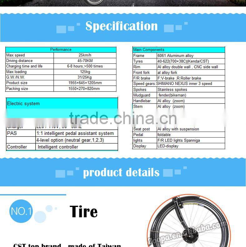 electric mountain bike 28" CST tire