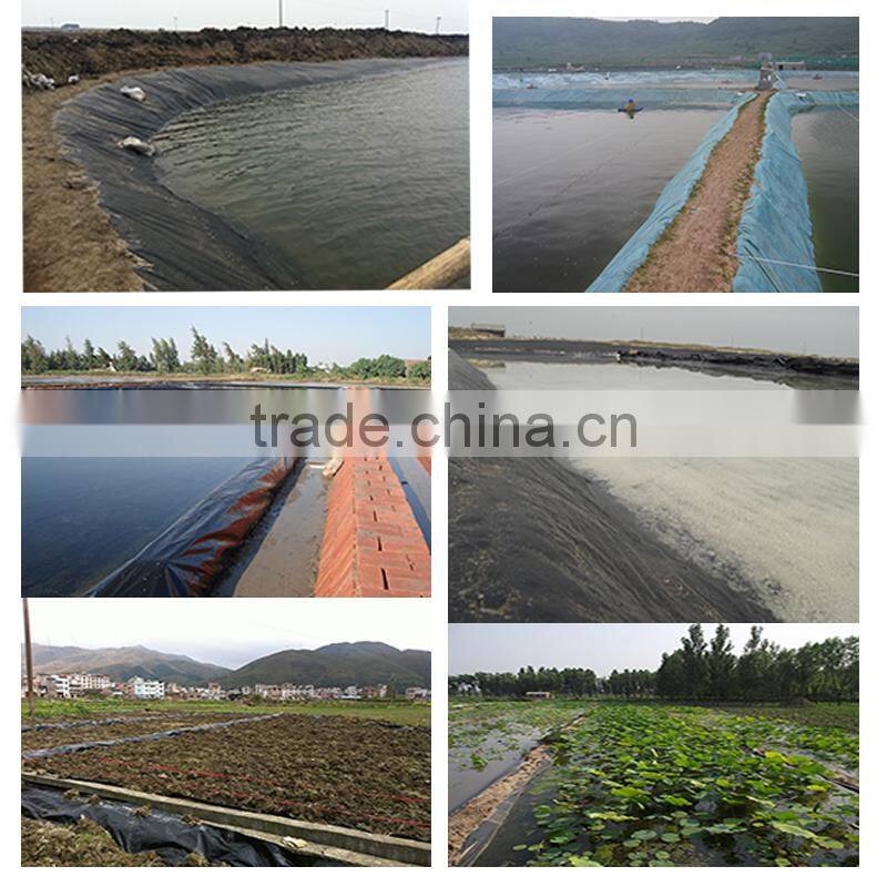 durable uv stablized aquaculture pond liner for shrimp farming