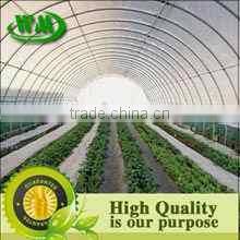 Polyethylene blown film for agriculture