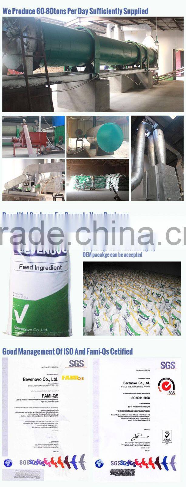 Meat And Bone Meal / MBM 60% 65% High Protein