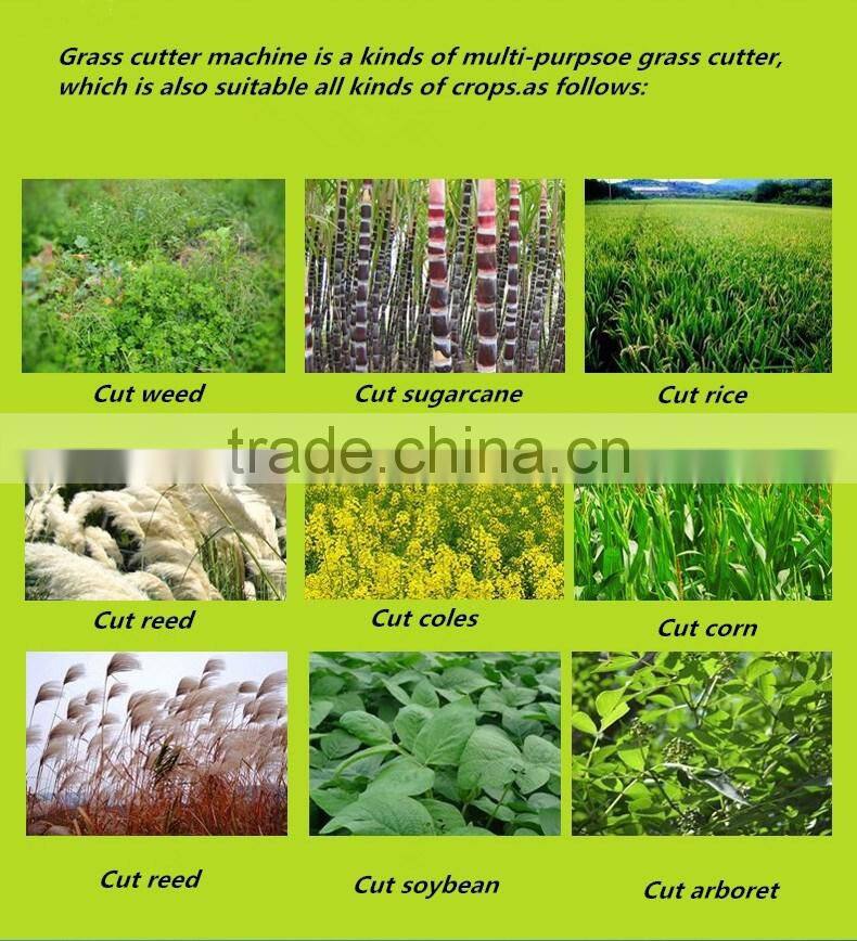 6.5HP hand push gasoline sickle bar scythe mower