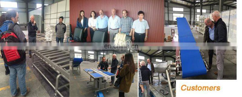 Fruit and vegetable washing and drying machine