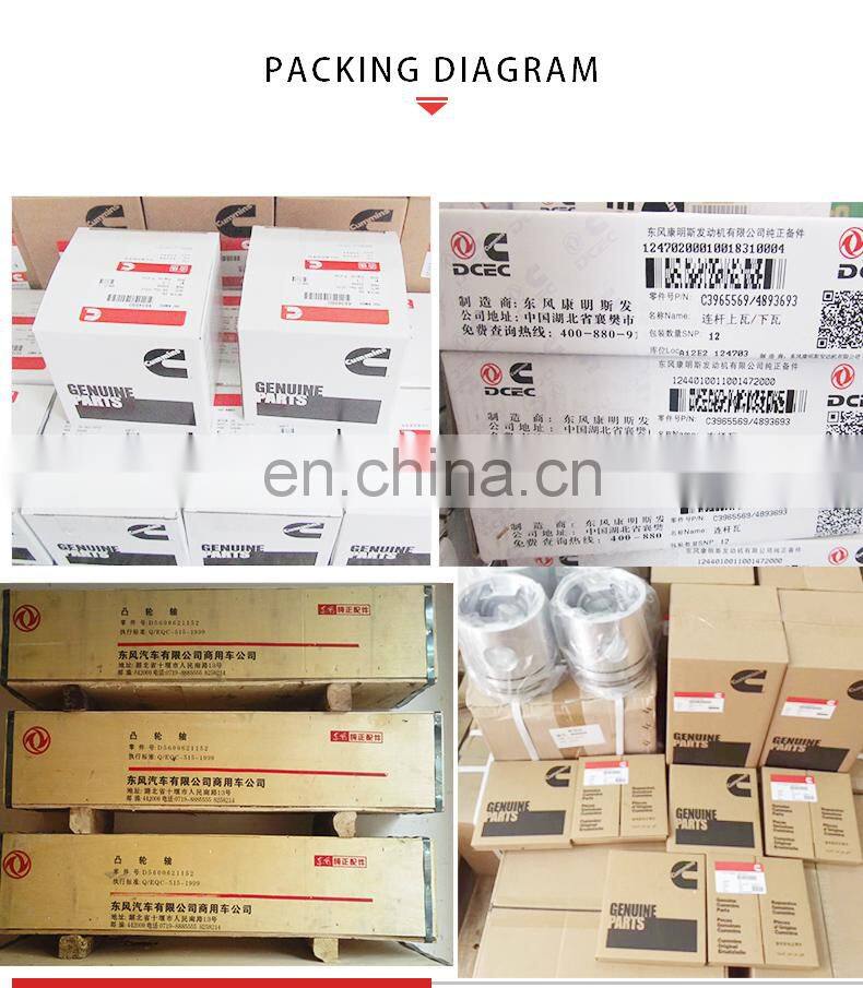 6BT Diesel Engine Parts V-Ribbed Belt 3925953