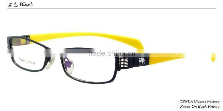 Women fancy eyeglasses frames with changeable temples