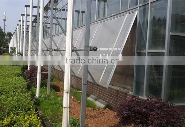 Commercial Greenhouse for Sale