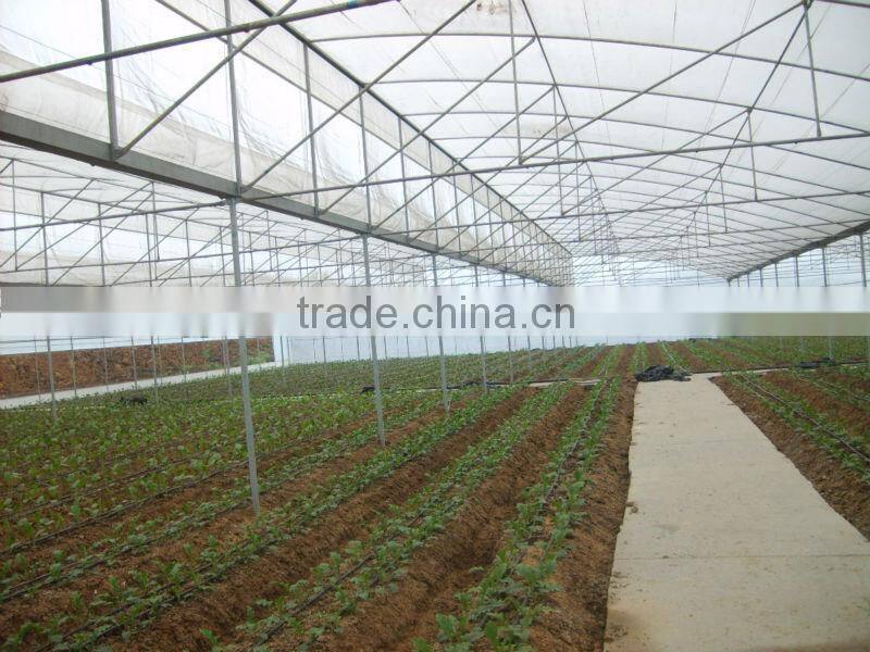 greenhouses agriculture projects