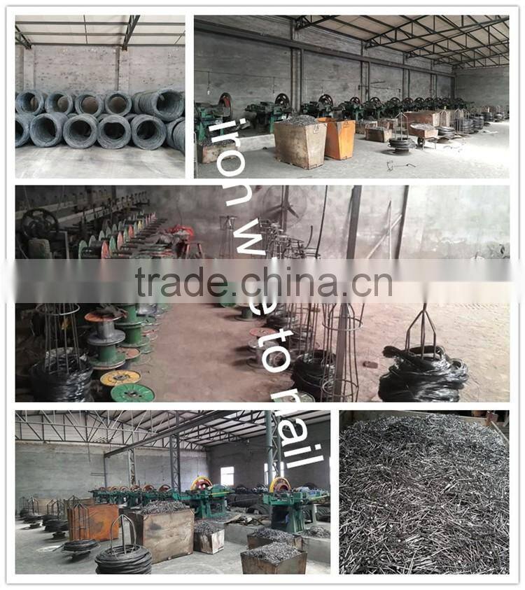 factory high quality common iron wire nail 1"-6"/stainless common iron wire nail