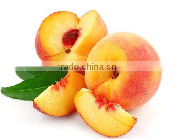 2013 best seller wide output range full stainless steel cherries pulping machine