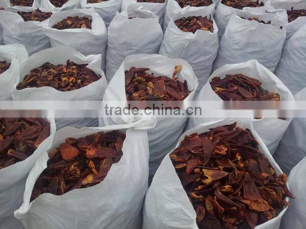 indian dry red chilli