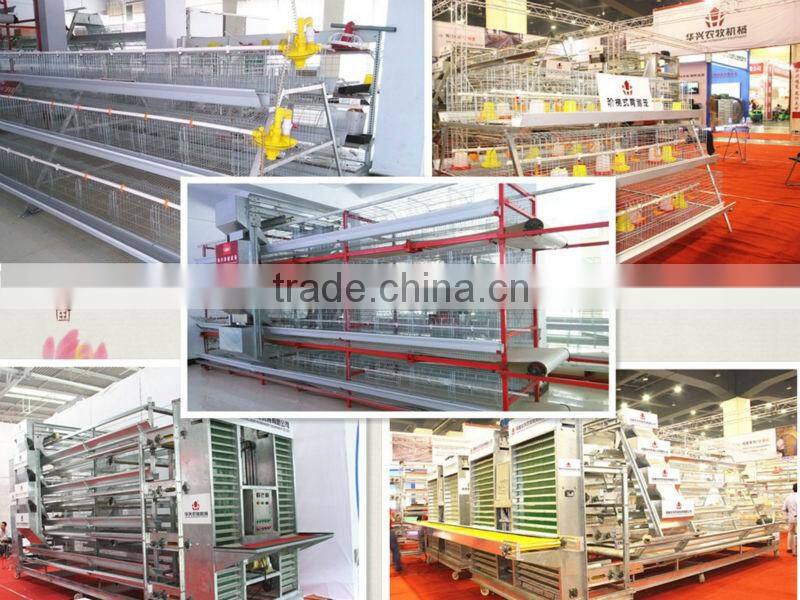 quail cage for sale & layer quail cage for poultry farm equipment