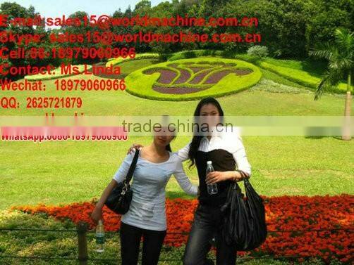 hidroponicos corn growing machine for sale/hydroponics fodder hydroponic culturing barley breeding machine