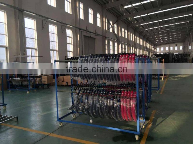 Shaped Frame Alloy Sports Racing Road Bicycle