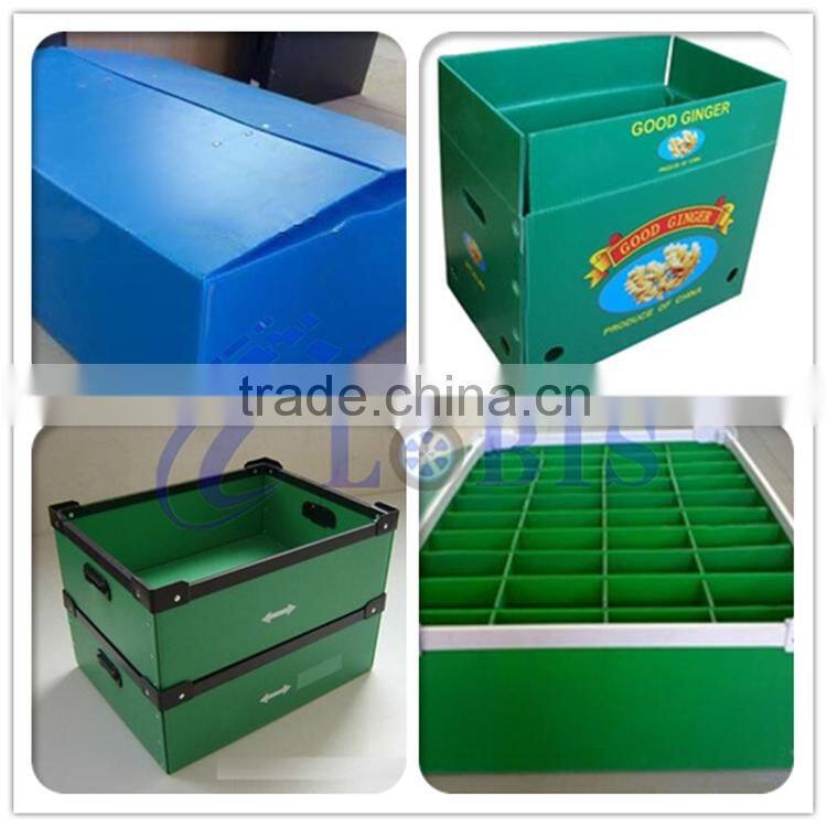 China Manufacturer Produce Corrugated Extruded Polypropylene Tray