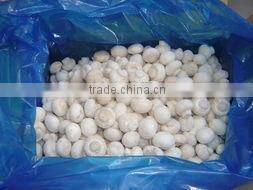 Frozen Nameko mushrooms Healthy and High quality