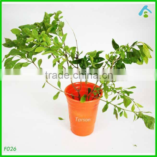 plastic decorative pots , 2013 new garden products