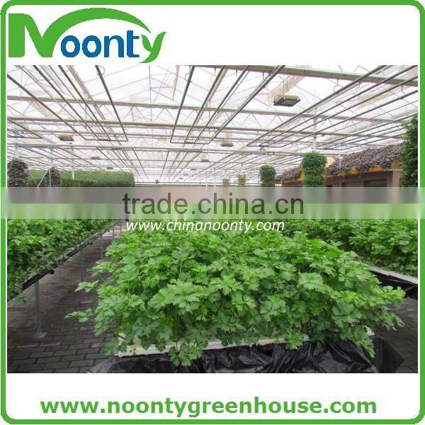 Hydroponics Greenhouse