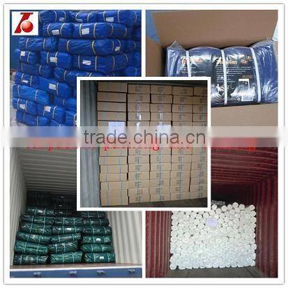 PE/PP Tarpaulin With Eyelets
