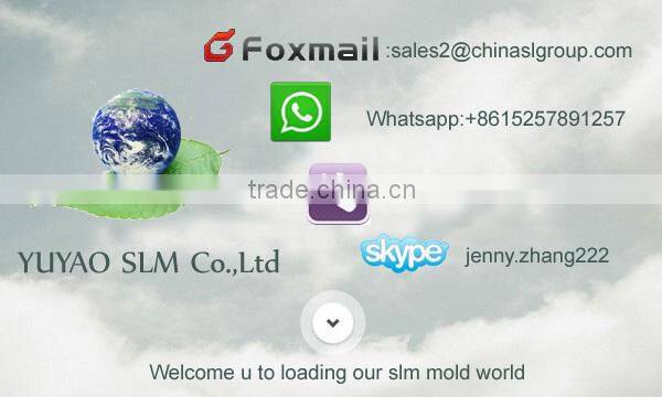 OEM Custom Plastic Injection Mold for plastic mouse parts