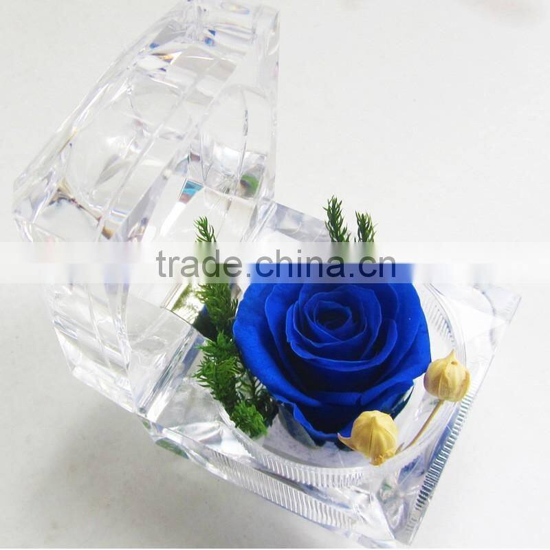2016 Yiwu Aimee wholesale Valentine's Day gift import preserved fresh cut flower(AM-PF04)