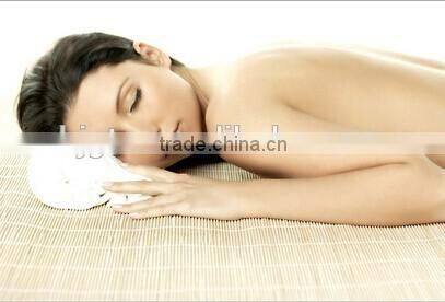 2.5mm Micro Needle Body Roller 1080 Pins GTO Body Derma Roller