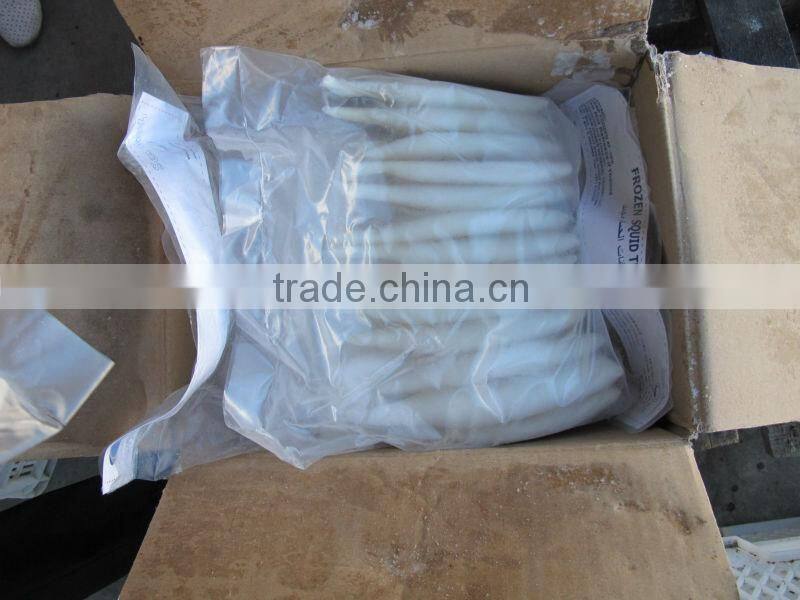 frozen squid fillet