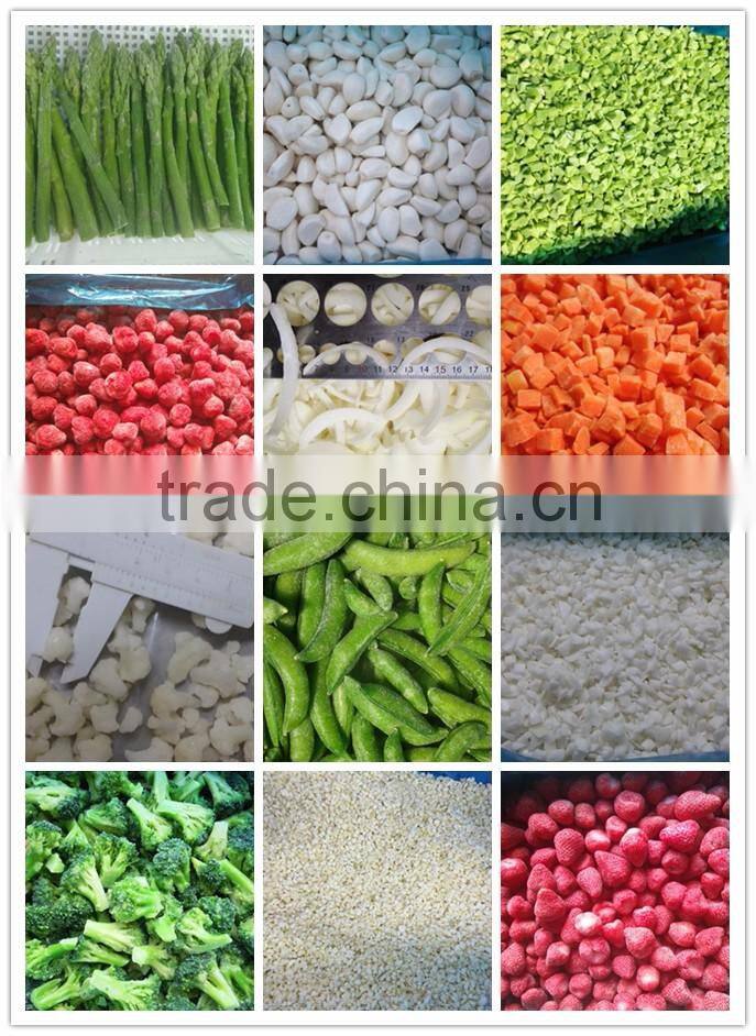 IQF Frozen Ginger paste 20g