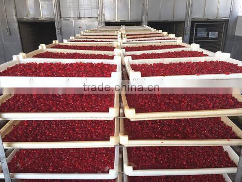 Dehydrated cherry/Preserved cherries/Chinese Dried cherry