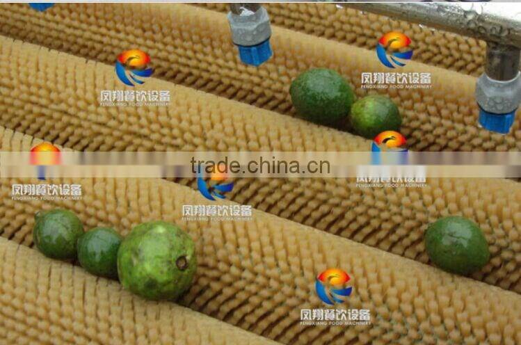 HP-360 powerful new product spray vegetable and fruit washing machine