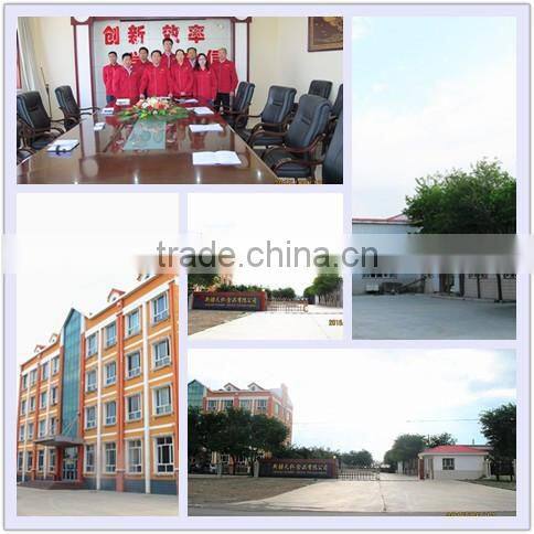 China best price dried watermelon seeds