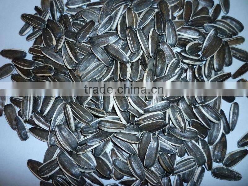 Raw Sunflower seeds 20/64,22/64,24/64