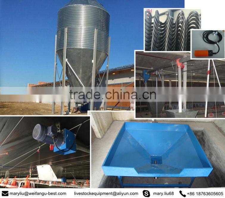 high quality low price industrial steel structure chicken coop