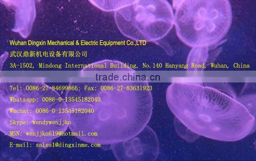 DGP30 Small Restaurant Stainless Steel Garlic Peeling Machine