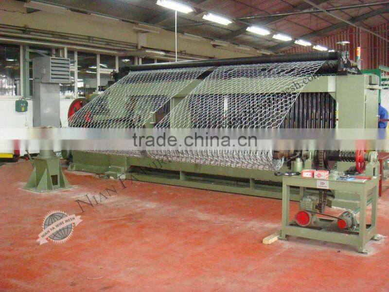 Galvanized Hexagonal wire mesh