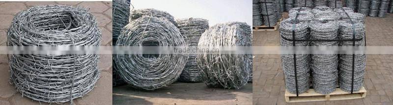 Hot dipped galvanized barbed wire fencing professional supplier