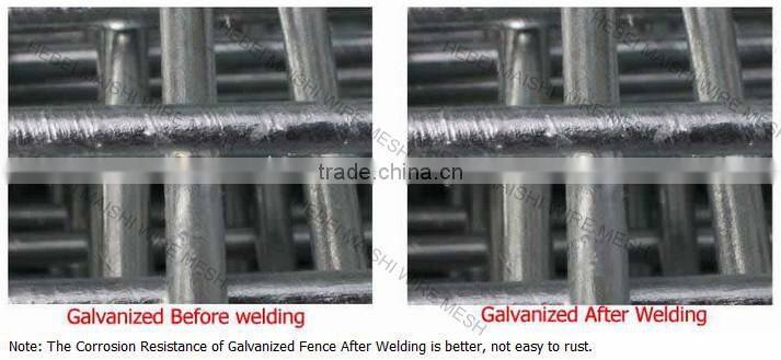 welded mesh