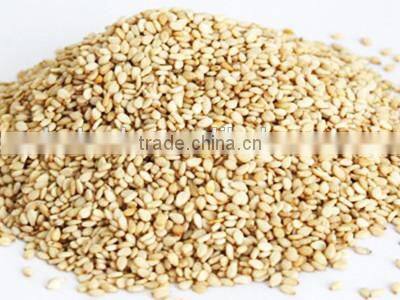 Continuous type microwave sesame roaster/sesame roasting machine