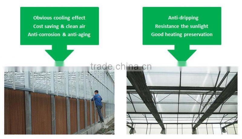 Commercial Metalic Greenhouse