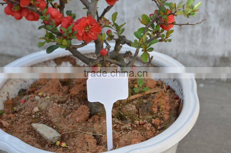 T Shape Plant Labels For Marking