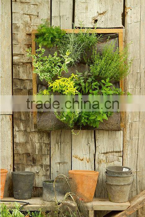 Cheap Long Vertical Hanging Garden Planter,Plant Pots