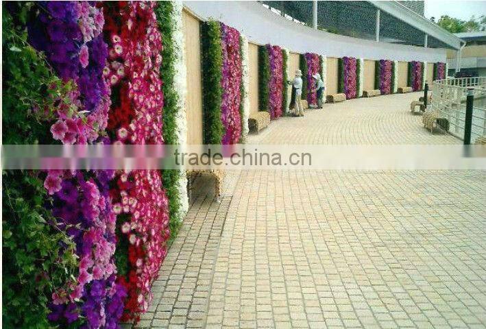 SOL 2015 NEW DESIGN vertical green green wall planter plastic green wall planter