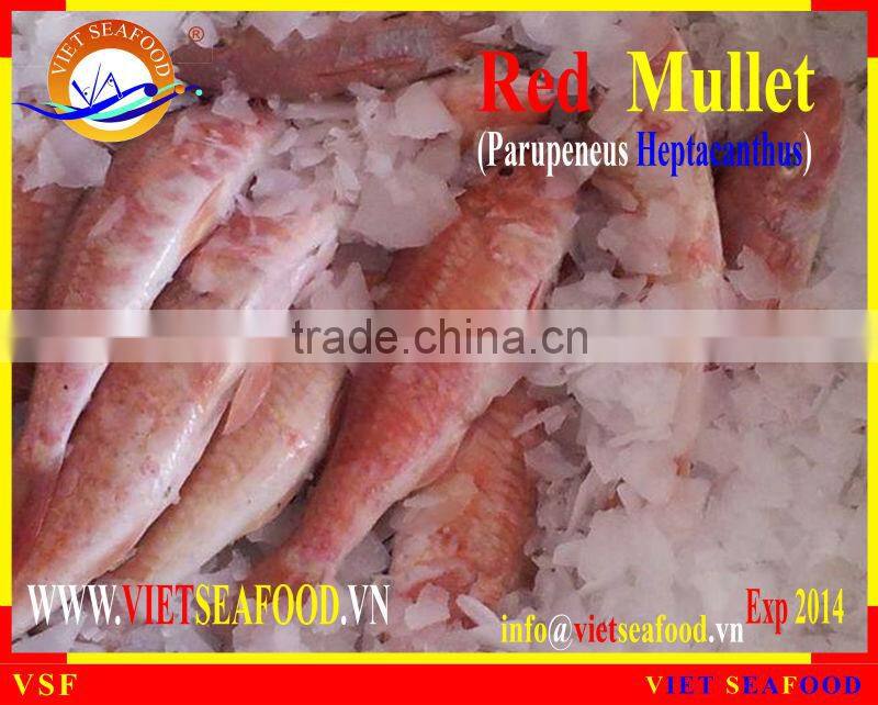 FROZEN WHOLE ROUND RED MULLET