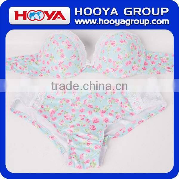 White Sexy Lace Bra Transparent Lace Bra Beautiful Bra Sexy Bra Design