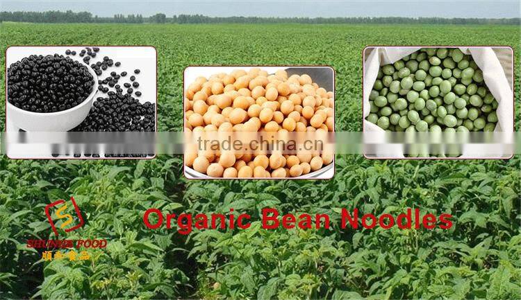 Hot Sale Organic Bean Noodles Low Carbohydrate Pasta