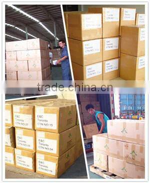 wholesale dye sublimation printed fold over elastic for hair tie