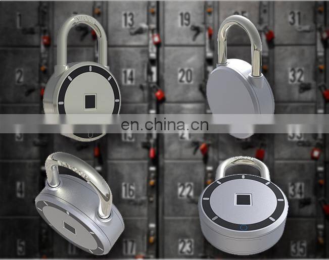 intelligent small gym wardrobe door fingerprint cabinet lock