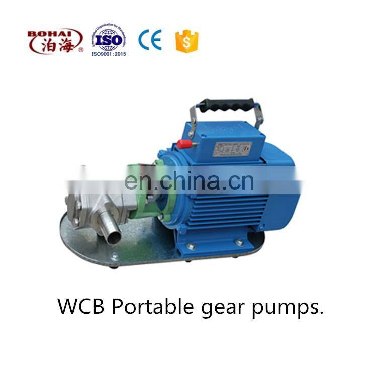 Portable oil pump with mini portable oil pump