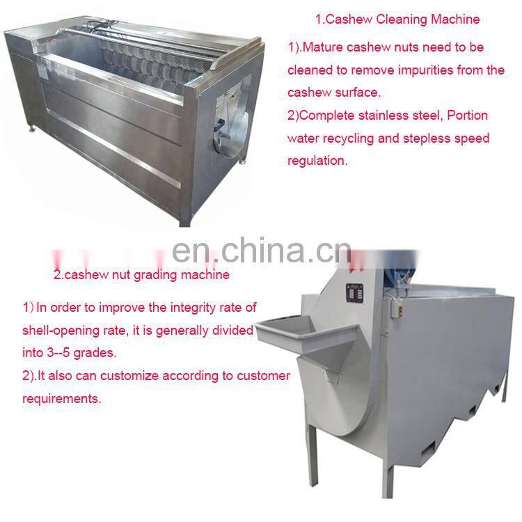 Low Price Cashew washing Cleaning machine cashew Drying Machine price