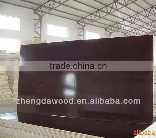 Brown film faced plywood linyi factory